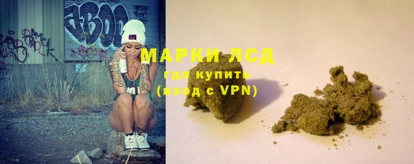 хмурый Белокуриха
