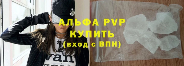 хмурый Белокуриха