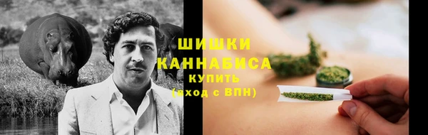 сатива Беломорск