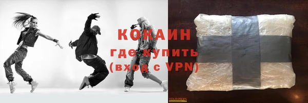 хмурый Белокуриха