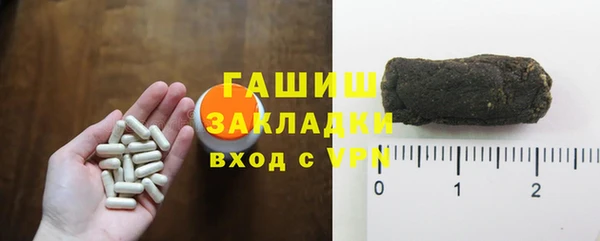 сатива Беломорск