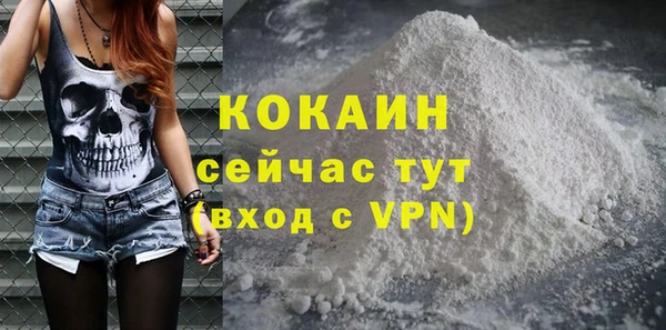 хмурый Белокуриха