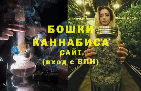 хмурый Белокуриха