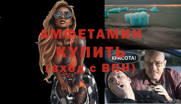 сатива Беломорск